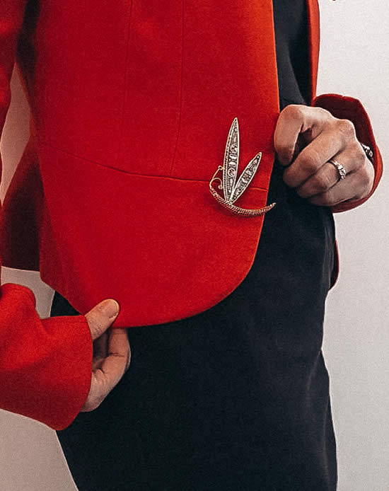 Broche libellule en or et saphir